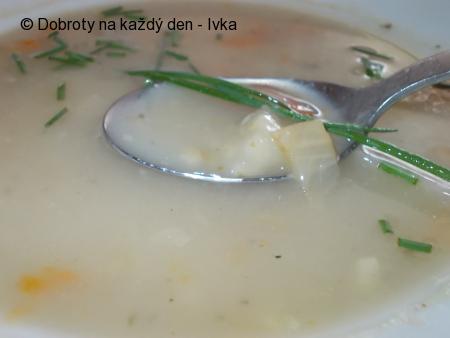 Rychlá, dobrá a zdravá polévka