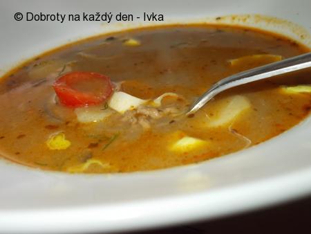 Gulášová polévka z mletého hovězího masa a hub
