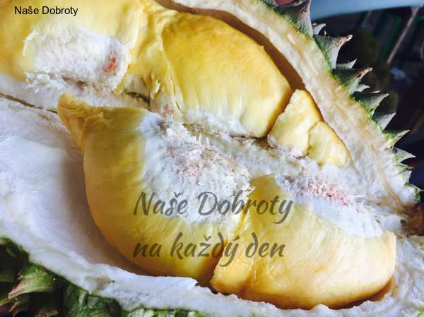Jackfruit, chlebovník nebo durian?